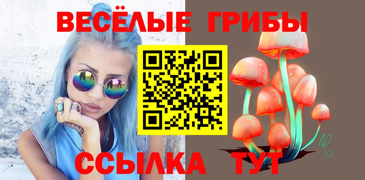 Галлюциногенные грибы Psilocybine cubensis  Вход с VPN  Ивантеевка  Псилоцибиновые грибы Psilocybe 